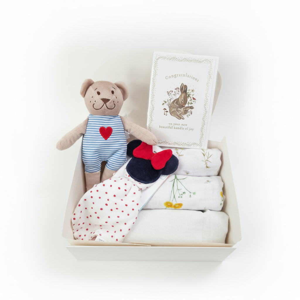 Set cadou nou-născut "Bun venit, bebe"