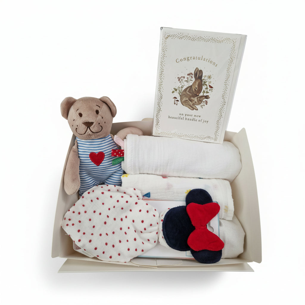 Set cadou nou-născut "Bun venit, bebe"