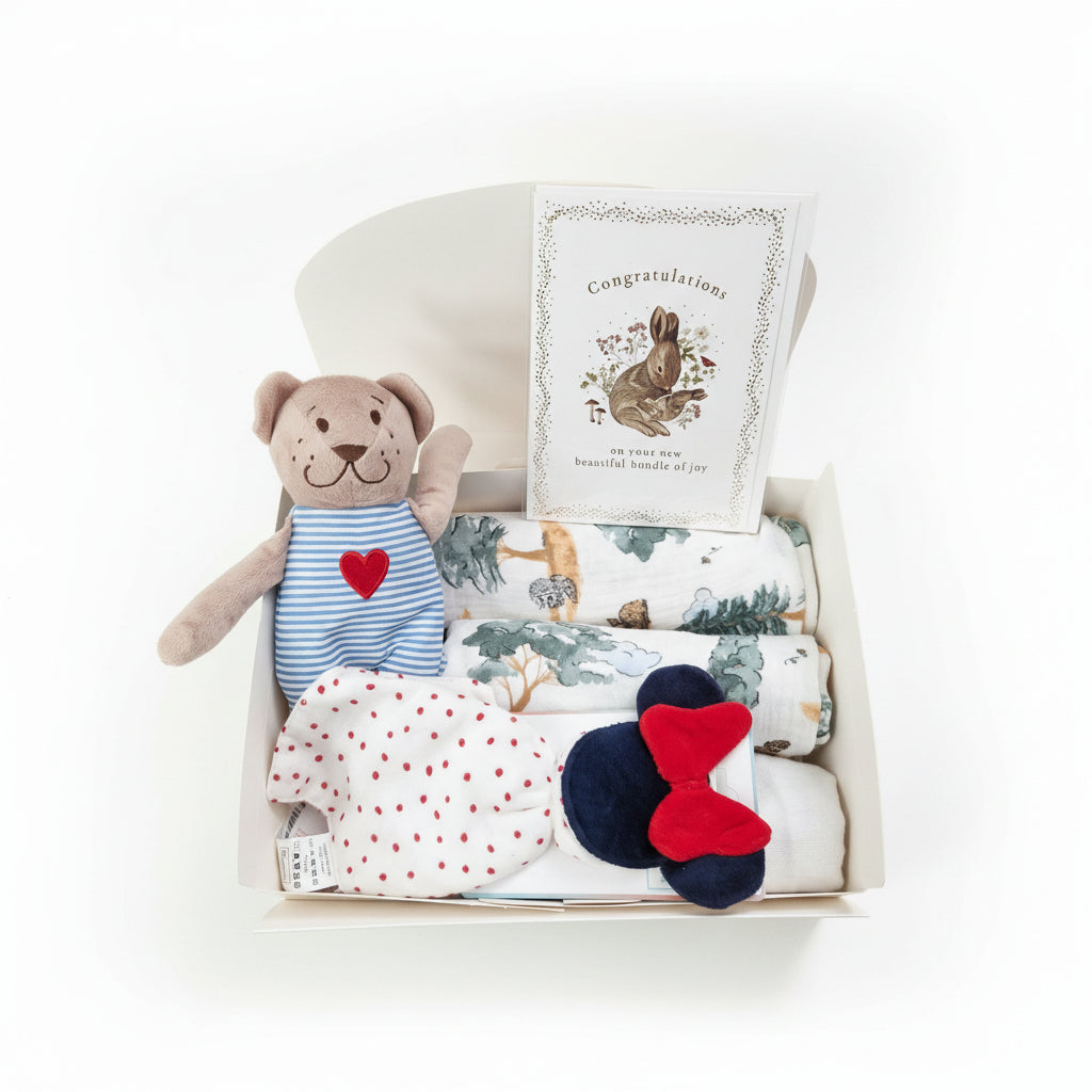 Set cadou nou-născut "Bun venit, bebe"