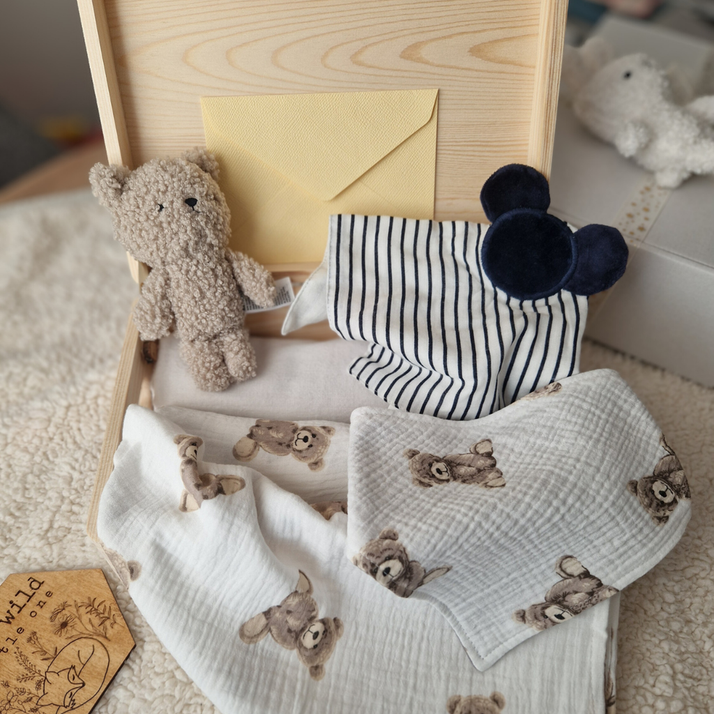 Set Cadou Nou-Născut – Cadou Bebeluș cu Păturică și Jucării
