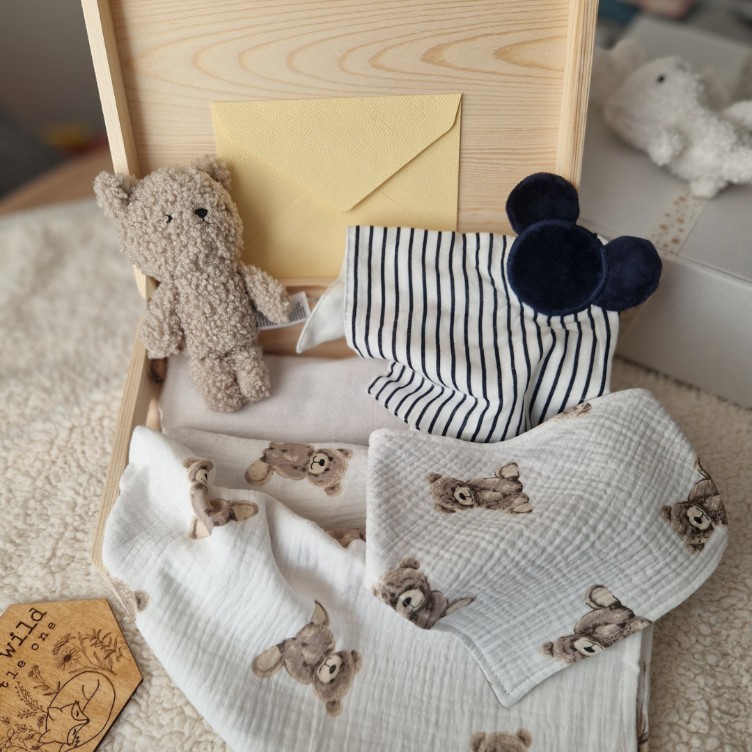 Set Cadou Nou-Născut – Cadou Bebeluș cu Păturică și Jucării