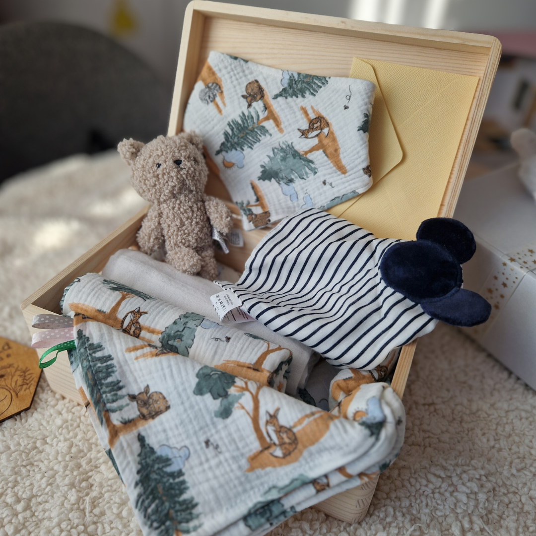 Set Cadou Nou-Născut – Cadou Bebeluș cu Păturică și Jucării
