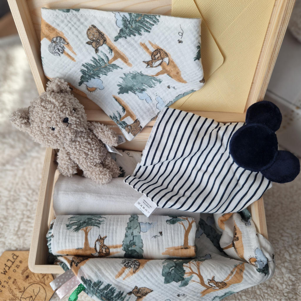 Set Cadou Nou-Născut – Cadou Bebeluș cu Păturică și Jucării