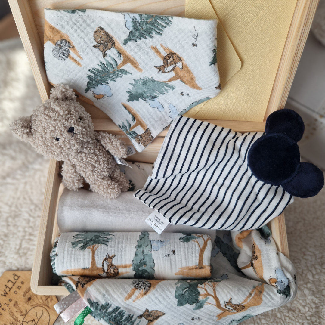 Set Cadou Nou-Născut – Cadou Bebeluș cu Păturică și Jucării