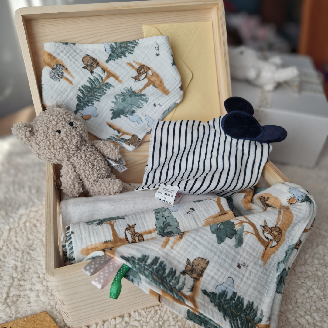 Set Cadou Nou-Născut – Cadou Bebeluș cu Păturică și Jucării